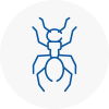 Ant Removals In Braintree