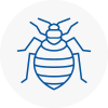 Bed Bug Extermination In Braintree