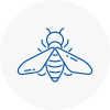 Bee Nest Removal Braintree