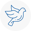 Bird Prevention Braintree