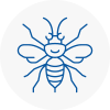 Braintree Hornet Nest Removals