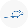 Mice Exterminators In Braintree