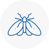 Moth Control Specialists In Braintree