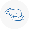 Rat Control Braintree