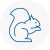 Braintree Rodent Removals